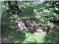 Nant-Fforchog Milk Stand