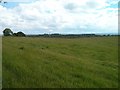 Fields on Craigend Hill