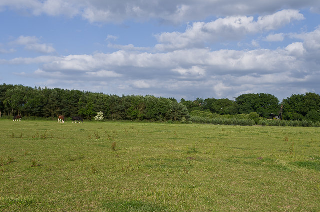 Field off Westerham Road