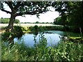 TQ9028 : Pond on the northern edge of Church Wood by Christine Johnstone