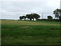 Farmland off New England Lane