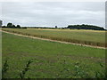 Farmland near Dunsby Village