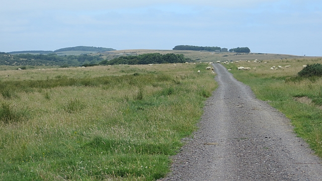 Road, Mullock