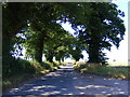 TM3485 : St.Margaret's Road  at Elms Farm by Geographer