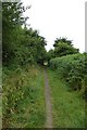 Bubwith Rail Trail near Harswell