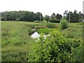 Pond, Broomfold