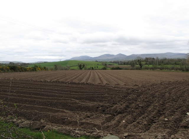 Potato field alongside Drumarkin Road © Eric Jones cc-by-sa/2.0 ...