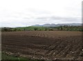 Potato field alongside Drumarkin Road 