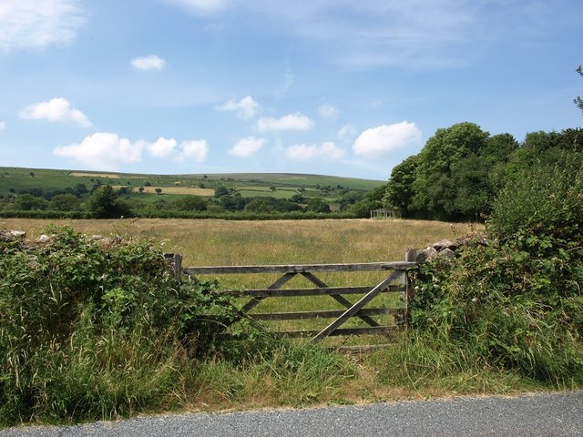 Field adjoining minor road between Throwleigh and South Zeal