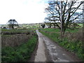 View downhill along Cranny Road