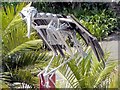 SZ5476 : Raven Sculpture, Ventnor Botanic Garden by David Dixon