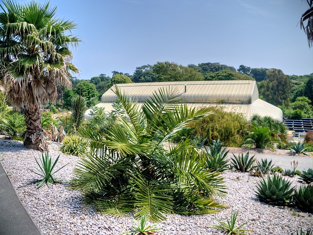 Tropical House, Ventnor Botanic Garden