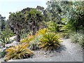 Arid Garden, Ventnor Botanic Garden