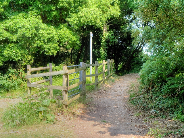 Isle of Wight Coastal Path, Ventnor Botanic Gardens