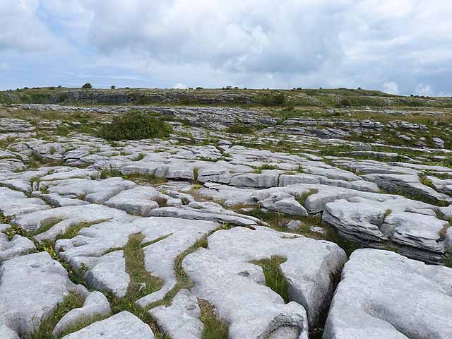 Clints and grikes at Poulnabrone