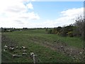 Reclaimed gravel pit west of Ballsmill Road