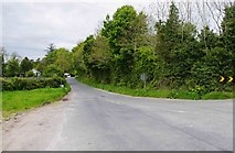 M6512 : The L4215 road to Killeenadeema, near Ballyeighter, Co. Galway by P L Chadwick