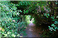 ST9056 : Natural tunnel on the footpath by Doug Lee