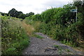 Bridleway on Merbach Hill