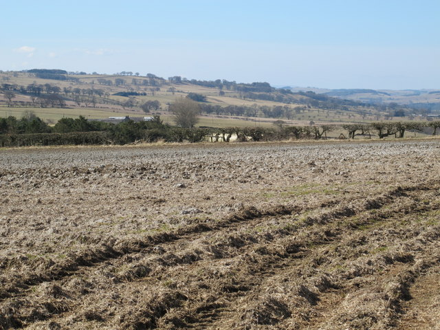 Farmland north of Redhouse Burn