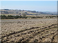 NY9772 : Farmland north of Redhouse Burn by Mike Quinn