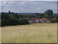 Train passing Fryent Country Park, Wembley Park