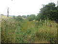 Disused canal from Cork Bridge