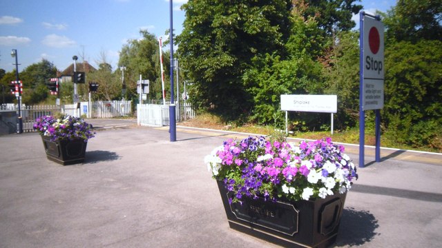 Flowers on the Platform