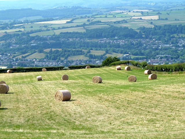 Hay field near Pen-y-wern