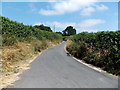 Lane to Great House Farm, Llanstephan