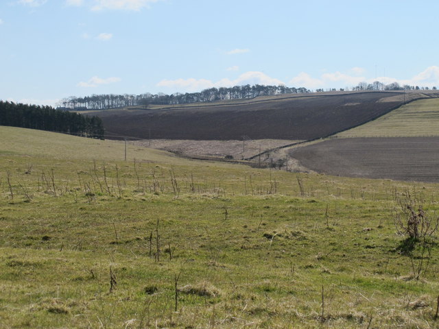 The valley of Redhouse Burn