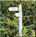 Signpost at Green Lane Junction