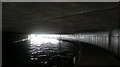 View of the path through the tunnel under Bow Flyover from the Lea Navigation