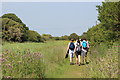 Footpath along Royal Military Canal