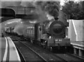 J3271 : Steam train passing Adelaide station by The Carlisle Kid