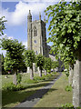 Tree-lined churchyard