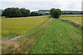 Trackbed of the old Golden Valley line