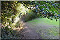 Footpath at Drybridge Hill, Woodbridge