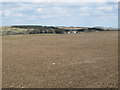 Farmland southwest of Todridge