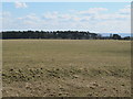 NY9869 : Farmland north of Whittington Dene by Mike Quinn