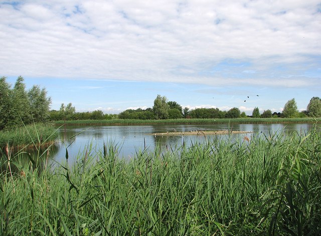 Cambridge Research Park Nature Reserve © John Sutton cc-by-sa/2.0 ...