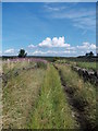 Green lane north of Thurlstone