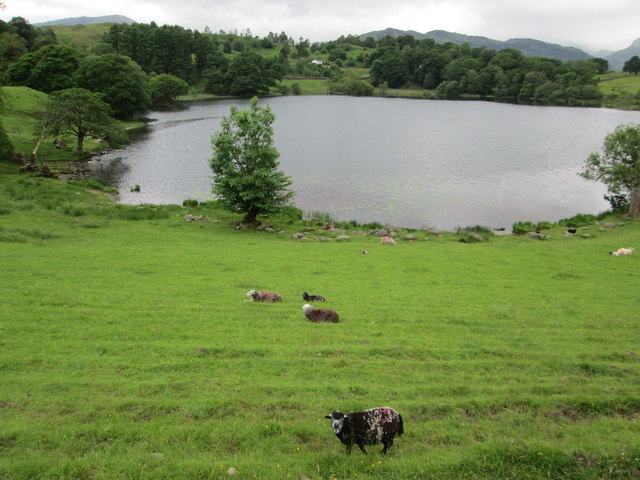 Loughrigg Tarn from a path to the east