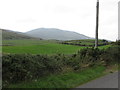 Improved grazing land on the west side of Ballywillwill Road