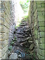 Steps - Exley Bank