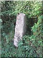 Bryngwyn or Sythfaen Standing Stone