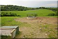 Animal feeder near Bittleford Farm