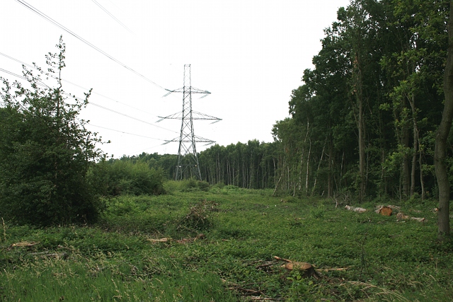Electricity transmission line across Arbrook Common
