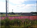 Cliftonhill Pitch and Stand