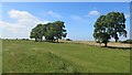 NX7149 : Fields, Bombie Hill by Richard Webb
